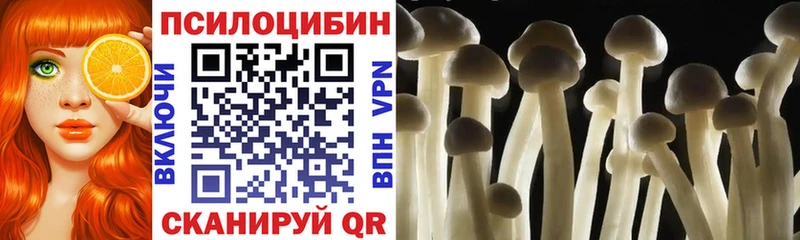 Купить  Красково  Псилоцибиновые грибы Psilocybine cubensis 